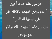 “الدودونج المهدد بالانقراض: مرسى علم ملاذ أخير في يومها العالمي”
الدودونج, مرسى علم, المهدد بالانقراض
