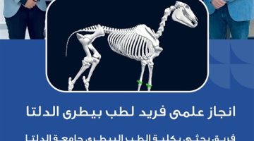 جامعة الدلتا للعلوم والتكنولوجيا