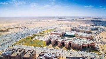 وظائف جامعات اليوم