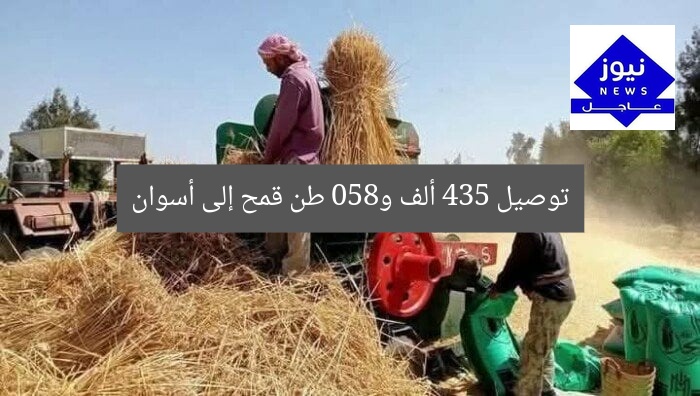 توصيل 435 ألف و850 طن قمح إلى أسوان