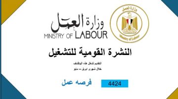 4424 فُرصة عمل في 12 محافظة.. بحد أدنى 7000 جنيه