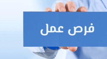 4424 وظيفة بالقطاع الخاص في 13 محافظة.. ووزير العمل يشدد على تطبيق الحد الأدنى