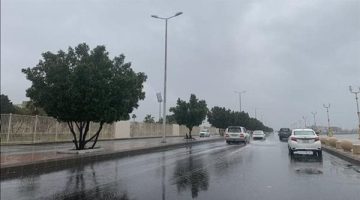 حالة الطقس