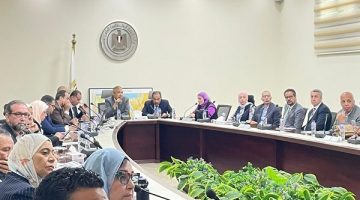 التعليم العالي