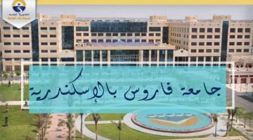 وظائف الجامعات اليوم