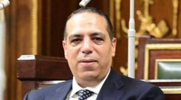 3 مبادرات جريئة لمستقبل مصر تحقق الأمن الغذائي والتنمية العمرانية