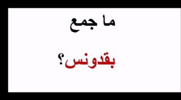 “صدمة في امتحان الثانوية!”.. جمع كلمة “بقدونس” يُربك الطلاب والإجابة تُفاجئ الجميع!