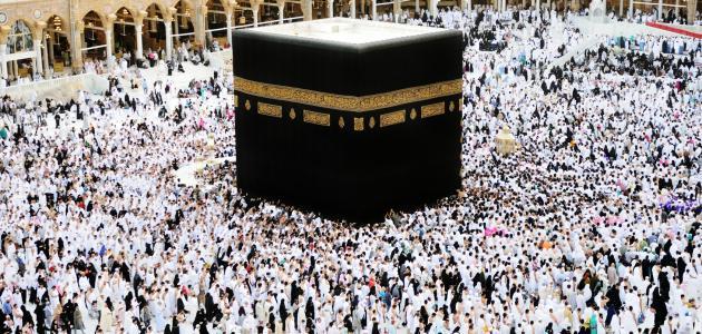 أركان العمرة وحكم أدائها عن الحي والميت.. دار الإفتاء تجيب