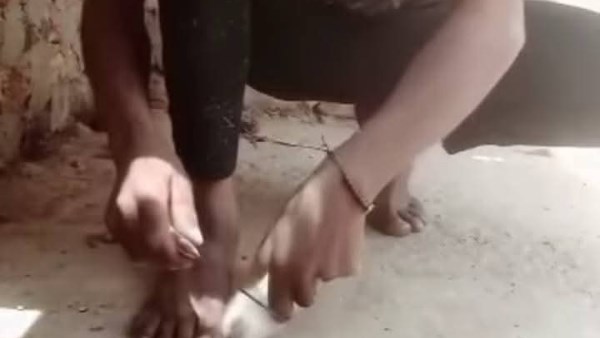 أمن الأقصر يلقي القبض على شاب نحر قطة في بث مباشر
