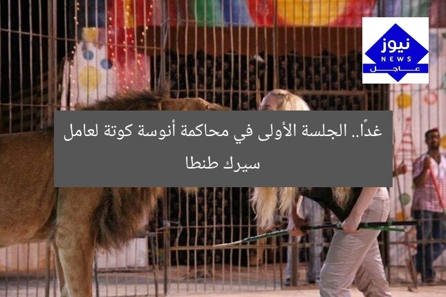 غدًا.. الجلسة الأولى في محاكمة أنوسة كوتة لعامل سيرك طنطا