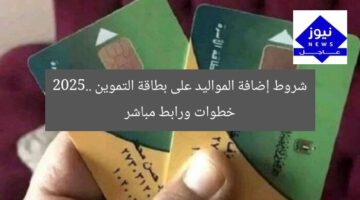 شروط إضافة المواليد على بطاقة التموين 2025.. خطوات ورابط مباشر