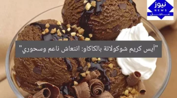 “شوكولاتة مجمدة بلمسة كاكاو: آيس كريم ناعم وانتعش”  
كاكاو, شوكولاتة, آيس كريم