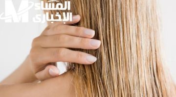 شعر ناعم بزيت الزيتون: طريقة فعّالة للتخلص من التشابك والجفاف