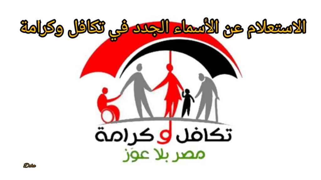 استعلم برقمك القومي.. الأسماء الجديدة في تكافل وكرامة 2025 واهم الشروط المطلوبة للتسجيل