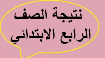 احصل على نتيجة الصف الرابع الابتدائي 2025 الترم الثاني بالقليوبية – رابط مباشر