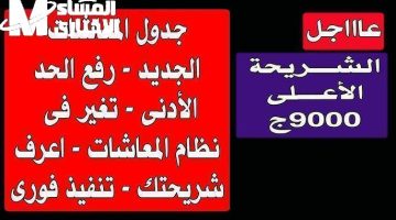 جدول معاشات 2025 مصر: مفاجأة رسمية وأرقام تتحدث!