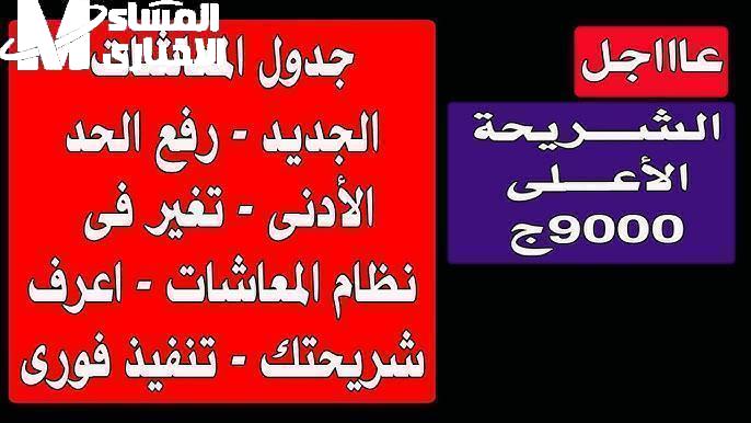 جدول معاشات 2025 مصر: مفاجأة رسمية وأرقام تتحدث!