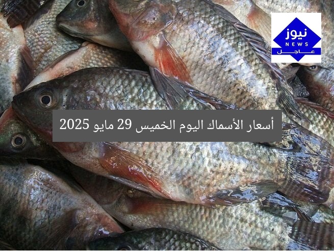 أسعار الأسماك اليوم الخميس 29 مايو 2025