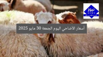 [العنوان المعاد صياغته]  
أسعار الأضاحي اليوم: تحديث محدث 30 مايو 2025