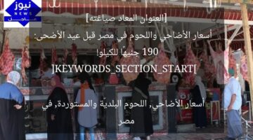 [العنوان المعاد صياغته]  
أسعار الأضاحي واللحوم في مصر قبل عيد الأضحى: 190 جنيهًا للكيلو!  

[KEYWORDS_SECTION_START]  
أسعار الأضاحي, اللحوم البلديّة والمستوردة, في مصر