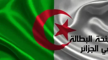 تجديد منحة البطالة بالجزائر 2025: خطوة سهلة في لحظات