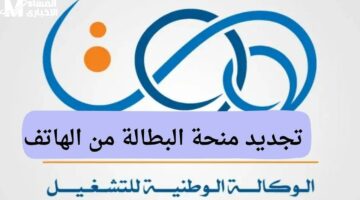 الإجراءات اتفتحت للتجديد دلوقتي .. خطوات تجديد منحة البطالة الجزائر 2025 والشروط اللازمة شروط مبسطة