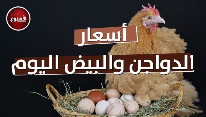 قفزة أسعار الدواجن والبيض! البانيه بـ210 جنيهات الأحد 25 مايو