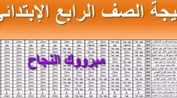 نتيجة الصف الرابع 2025 الترم الثاني عبر بوابة الإسكندرية بالاسم والرقم