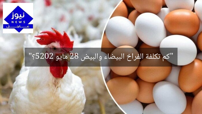 “كم تكلفة الفراخ البيضاء والبيض 28 مايو 2025؟”