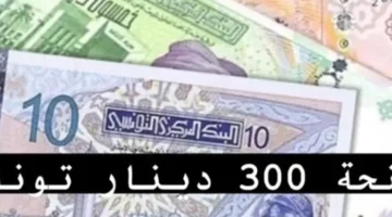 التسجيل اتفتح تاني رسميًا .. وزارة الشئون توضح منحة تونس للأسر المستحقة 2025 بيان شامل