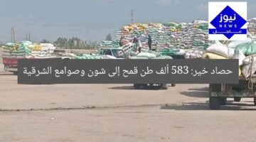 توريد 583 ألف طن قمح للشرقية عبر صوامع وشون