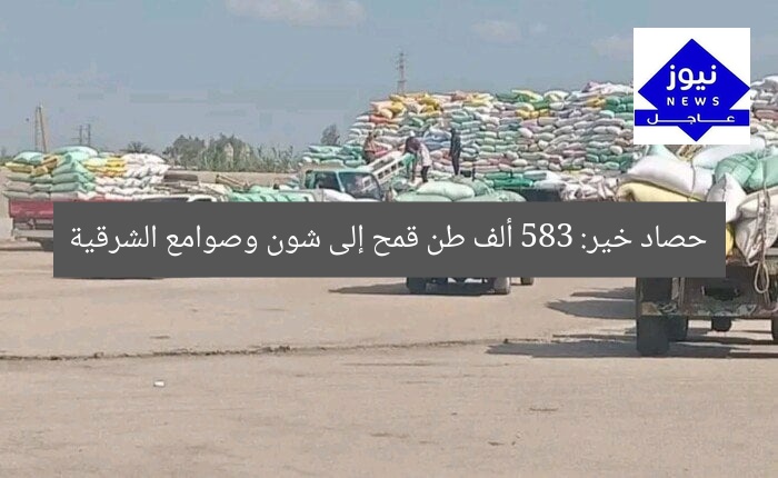 توريد 583 ألف طن قمح للشرقية عبر صوامع وشون