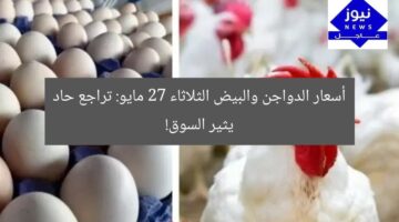 أسعار الدواجن والبيض الثلاثاء 27 مايو: تراجع حاد يثير السوق!