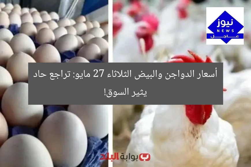 أسعار الدواجن والبيض الثلاثاء 27 مايو: تراجع حاد يثير السوق!