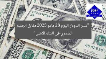 “سعر الدولار اليوم 28 مايو 2025 مقابل الجنيه المصري في البنك الأهلي”