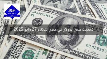 تحديث سعر الدولار في مصر الثلاثاء 27 مايو 2025