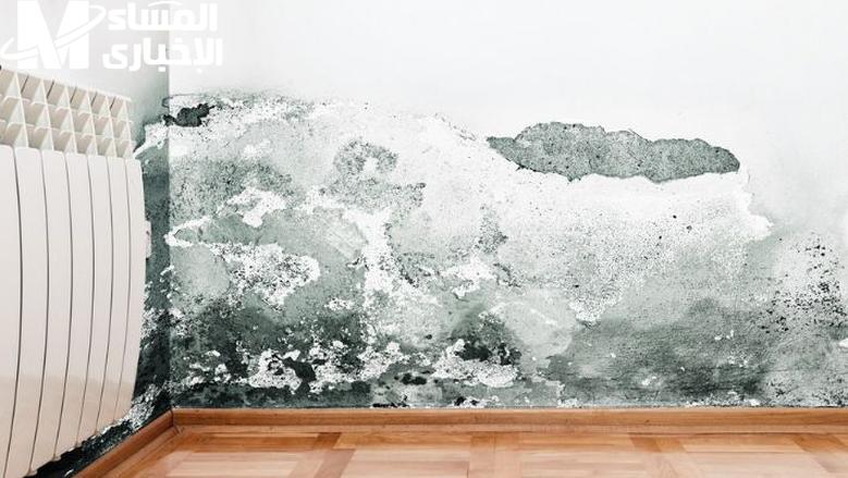 الرطوبة طارت خلاص! طريقة بسيطة للتخلص منها