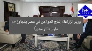 وزير الزراعة: إنتاج الدواجن في مصر يتجاوز 1.5 مليار طائر سنويًا