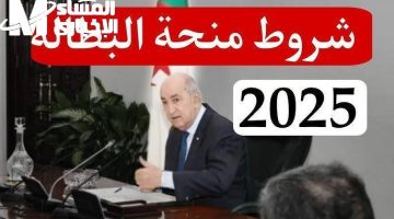 الشغل قرب يوصلك فعليًا .. منحة البطالة من وكالة التشغيل في الجزائر 2025 طفرصة مضمونة