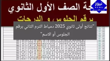 “نتائج أولى ثانوي 2025 دمياط الترم الثاني برقم الجلوس أو الاسم”