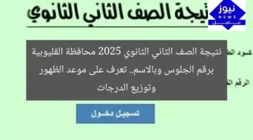 نتيجة الصف الثاني الثانوي 2025 محافظة القليوبية برقم الجلوس وبالاسم.. تعرف على موعد الظهور وتوزيع الدرجات