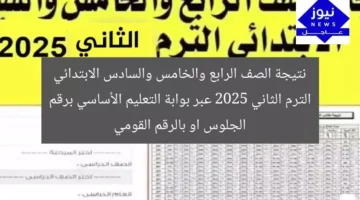 نتيجة الصف الرابع والخامس والسادس الابتدائي الترم الثاني 2025 عبر بوابة التعليم الأساسي برقم الجلوس او بالرقم القومي