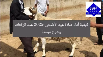 [العنوان المعاد صياغته]  
تعليمات صلاة عيد الأضحى 2025: عدد الركعات وشرح مبسط  

[KEYWORDS_SECTION_START]  
صلاة عيد الأضحى, عدد الركعات في صلاة الأضحى, تعليمات الصلاة 2025