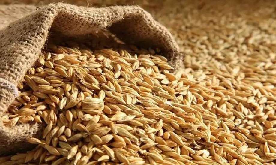الطن بـ 27 ألف جنيه.. أسعار الأرز اليوم الأحد 4 مايو 2025