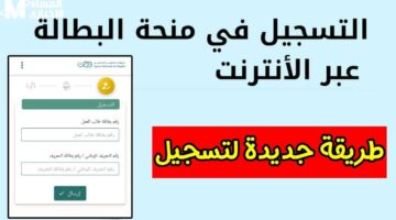 المستحقين يقدروا يجددوا فورًا .. كيفية تجديد منحة البطالة 2025 للمستفيدين بالجزائر إجراء سريع