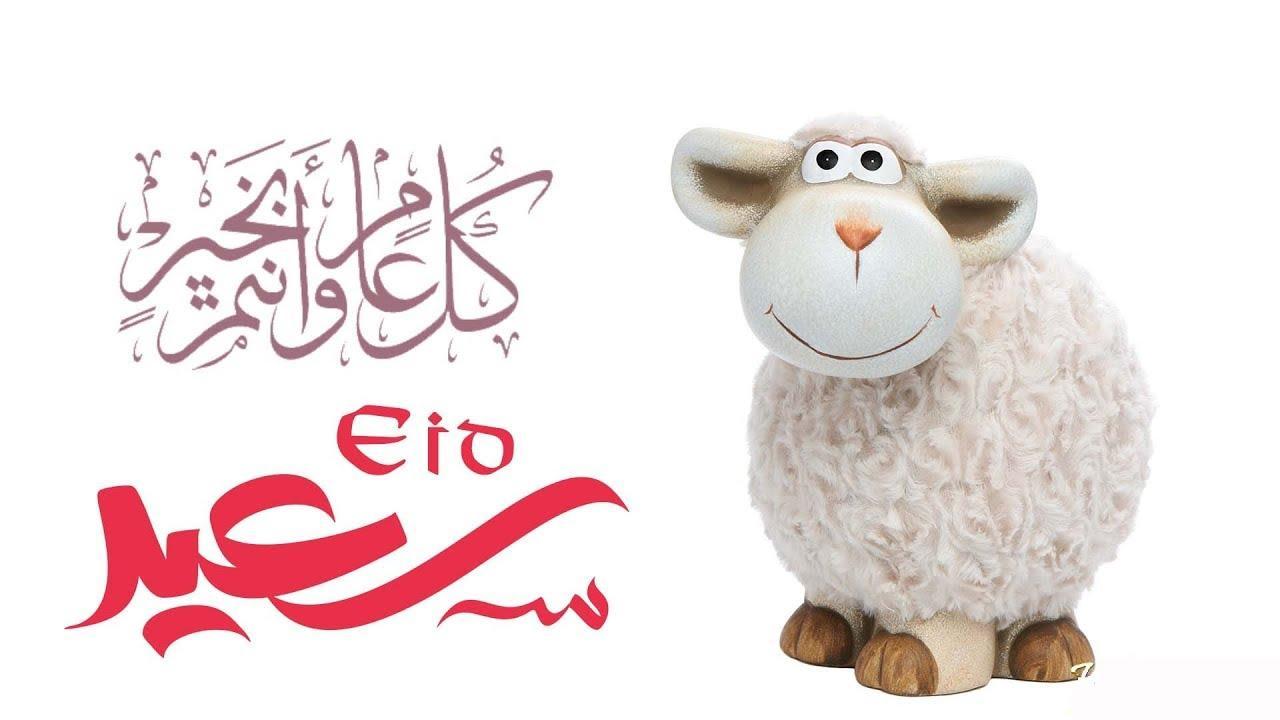 المكبرات شغالة والعيد قرب يا كويت.. كل تفاصيل صلاة واحتفالات عيد الأضحى 2025