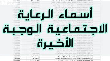 “قائمة الرعاية الاجتماعية 2025 تحميل مباشر في ثانية”