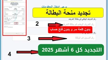 تجديد منحة البطالة الجزائر 2025: الدليل الكامل والخطوات الرسمية