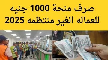 5 خطوات لا تفوتها: منحة العمالة 2025 تبدأ في مايو… اكتشف كيف تُسجل مبكرًا!