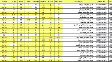 نتائج السادس الإعدادي الدور الثاني 2025 في العراق | اكتشف النتائج الآن